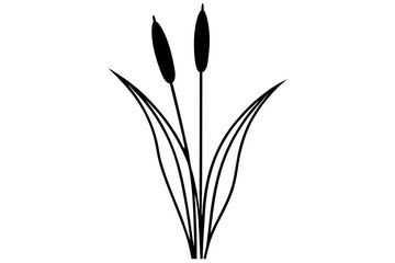 cattail silhouette vector