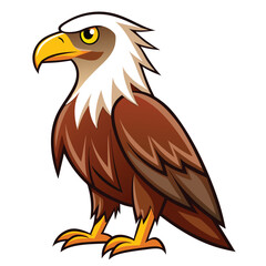 Eagle  isolated on white background