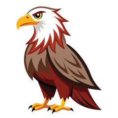 Eagle  isolated on white background