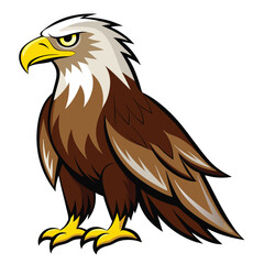 Eagle  isolated on white background