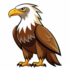 Eagle  isolated on white background