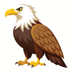 Eagle  isolated on white background