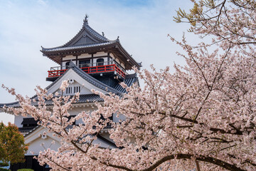 Fototapeta premium 春爛漫の川之江城