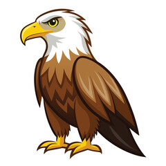 Eagle  isolated on white background
