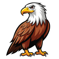 Eagle  isolated on white background