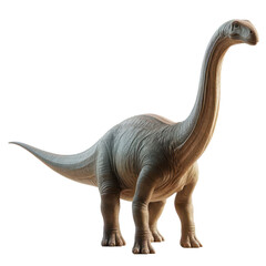 Fototapeta premium A Brachiosaurus brown model of a long-necked dinosaur stands against a white background. 