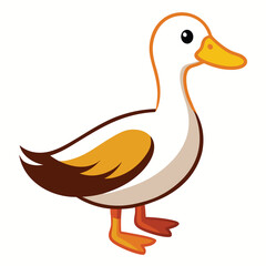 Duck isolated on white background
