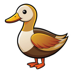 Duck isolated on white background