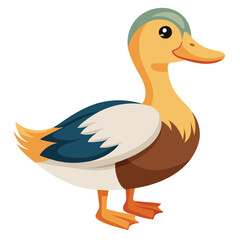 Duck isolated on white background
