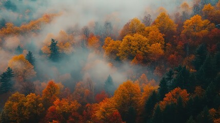 autumn season is characterized by enchanting combination of vibrant leaves, refreshing air, and a mystical fog that enhances overall ambiance 
