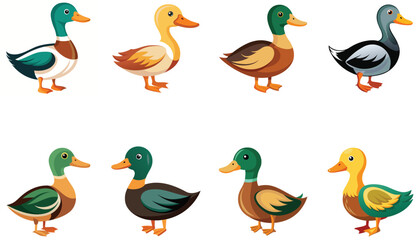 Set of duck isolated on white background
