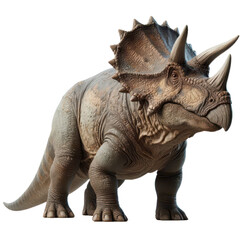 Fototapeta premium A realistic-looking model of a Triceratops dinosaur. Transparent background