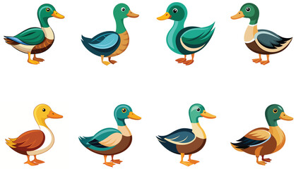 Naklejka premium Set of duck isolated on white background