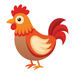 Hen isolated on white background