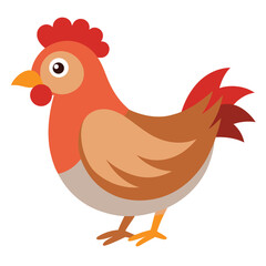 Hen isolated on white background