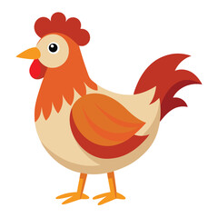 Hen isolated on white background