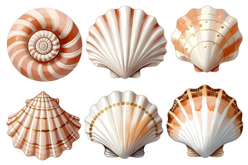 Obraz premium Colorful collection of seashells arranged in intricate patterns on a white background showcasing oceanic beauty and natural design