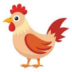 Hen isolated on white background