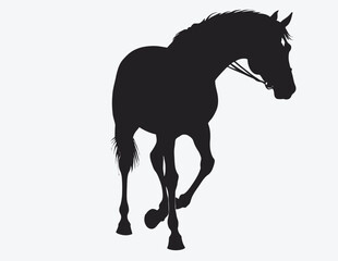 vector horse silhouette isolated on white background