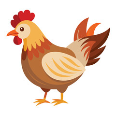 Hen isolated on white background