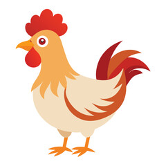 Hen isolated on white background