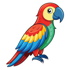 Parrot isolated on white background