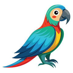 Parrot isolated on white background