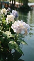 Serene Japanese Garden  White   Purple Hydrangeas by Pond