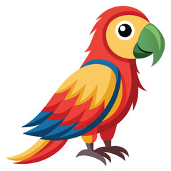 Parrot isolated on white background