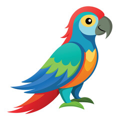 Parrot isolated on white background