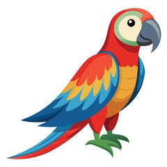 Parrot isolated on white background