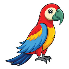 Parrot isolated on white background