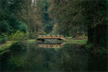 Wooden bridge over the small lake in the forest.