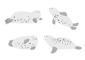 Vector illustration of spotted seal.