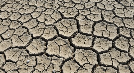 Cracked dry earth with textured surface during severe drought conditions