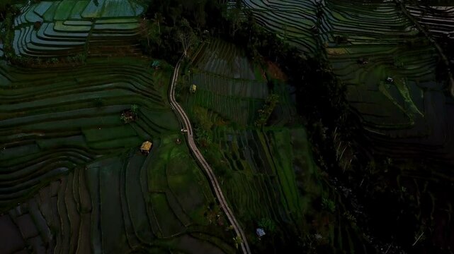 Subak Jatiluwih in Tabanan, Bali, is an ancient irrigation system, preserving tradition and harmony. A UNESCO heritage site, it attracts global visitors