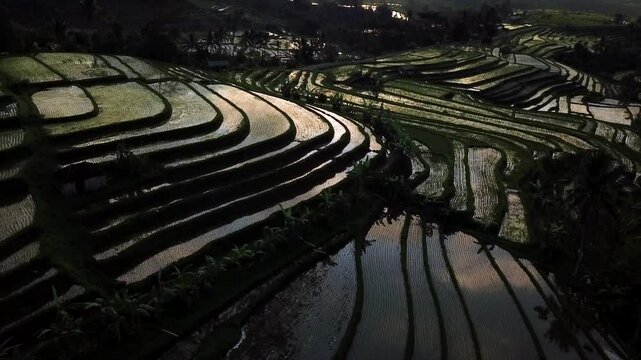 Subak Jatiluwih in Tabanan, Bali, is an ancient irrigation system, preserving tradition and harmony. A UNESCO heritage site, it attracts global visitors