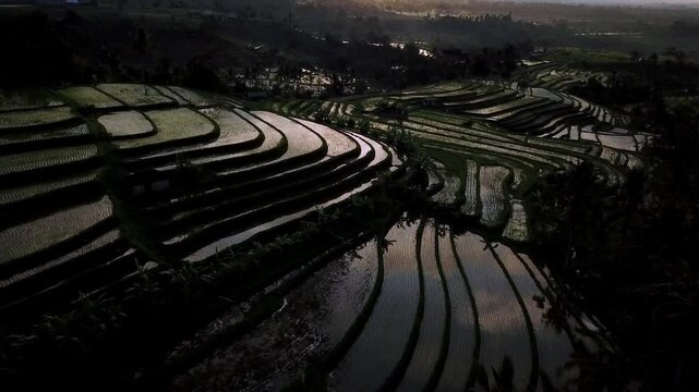 Subak Jatiluwih in Tabanan, Bali, is an ancient irrigation system, preserving tradition and harmony. A UNESCO heritage site, it attracts global visitors