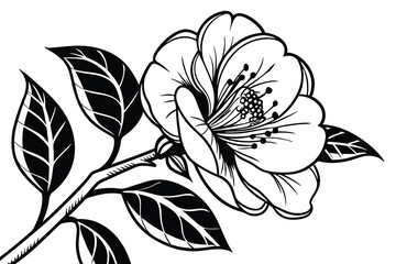 Black and white floral vector pattern with leaf and rose design