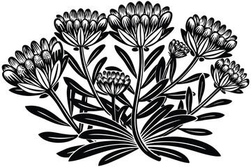 Black and white floral pattern with vintage flower and leaf design