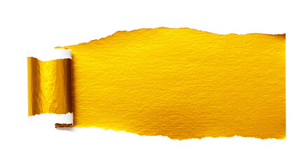 A torn piece of golden paper with a curled edge isolated on a black background in a horizontal...