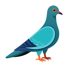 Dove isolated on white background