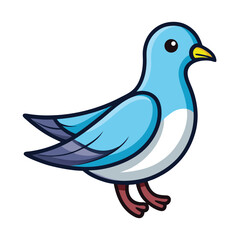 Dove isolated on white background