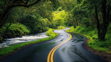Obraz premium Forest winding road nature photography