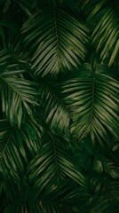 Lush dark green palm leaves background. Ideal for tropical themes, nature designs, and summer projects.