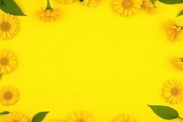 Obraz premium yellow mimosa flowers on a yellow background