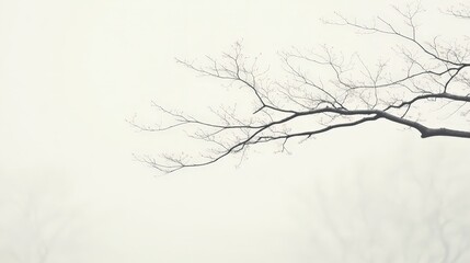 Barren branches in fog nature scene photography winter close-up combination of bare branches standard