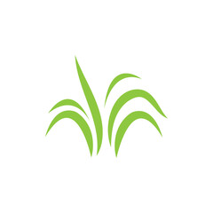 Green grass ilustration