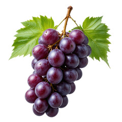 Fototapeta premium bunch of grapes with leaves isolated on transparent or white background