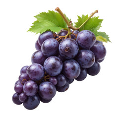 Fototapeta premium bunch of grapes with leaves isolated on transparent or white background